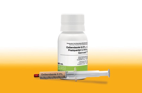 praziquantel