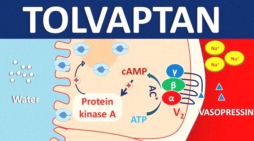 tolvaptan